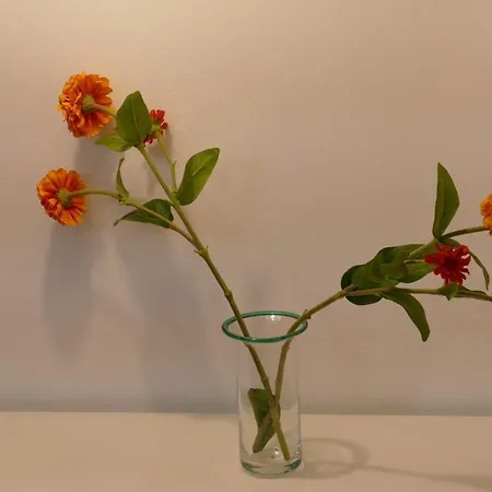 Residenza Santo Stefano 144 Bolonia