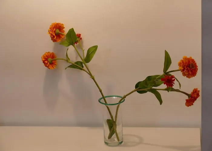 Residenza Santo Stefano 144 Boloňa